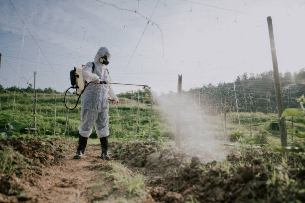 Best Affordable Pest Control Services  in Bull Valley, IL