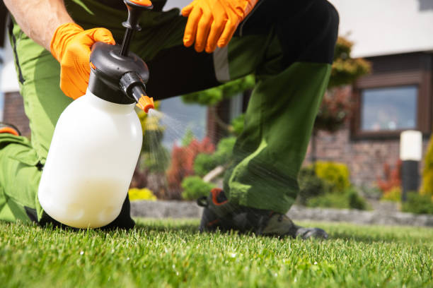 Best Insect Control  in Bull Valley, IL