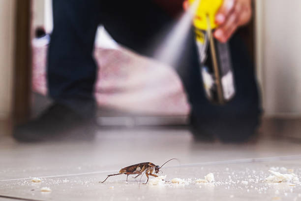 Best Best Pest Control Companies  in Bull Valley, IL