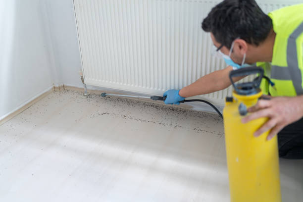 Best Pest Control Near Me  in Bull Valley, IL